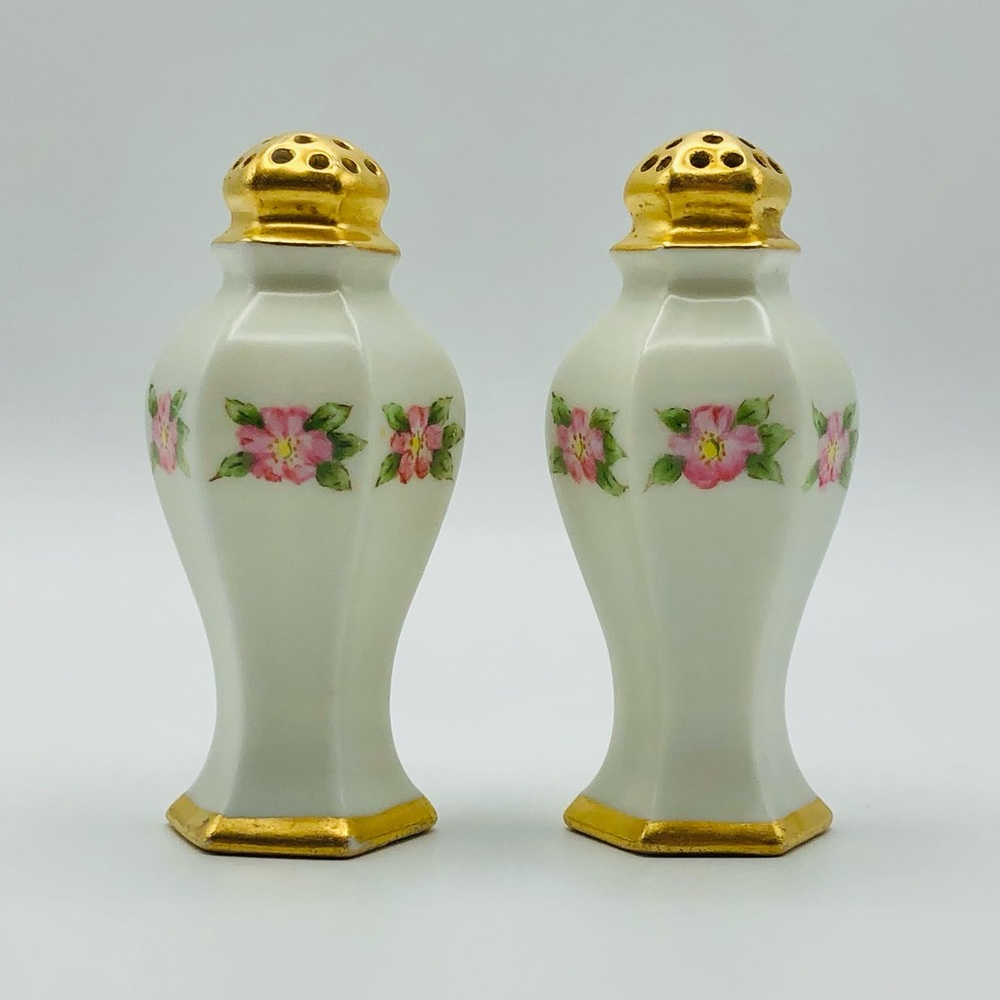 Antique One of a Kind Hand Painted Salt and Pepper Shakers Fine China